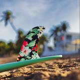 Moku Surf Shop
