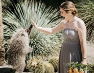 The Living Desert Zoo and Gardens