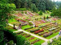 International Rose Test Garden