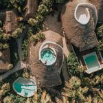 Papaya Playa Project