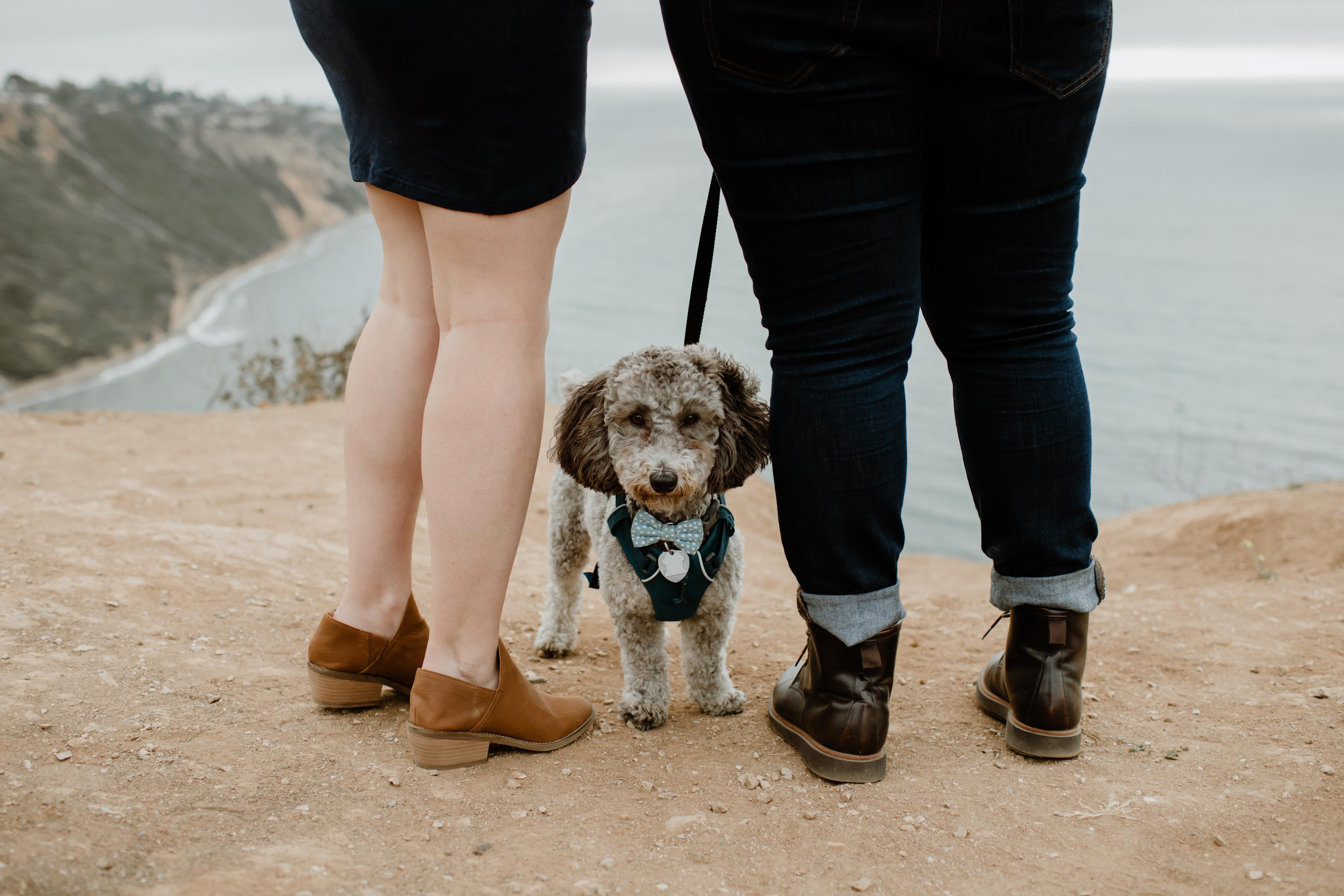 The Wedding Website of Allie Wisbach and Ellie Sanchez