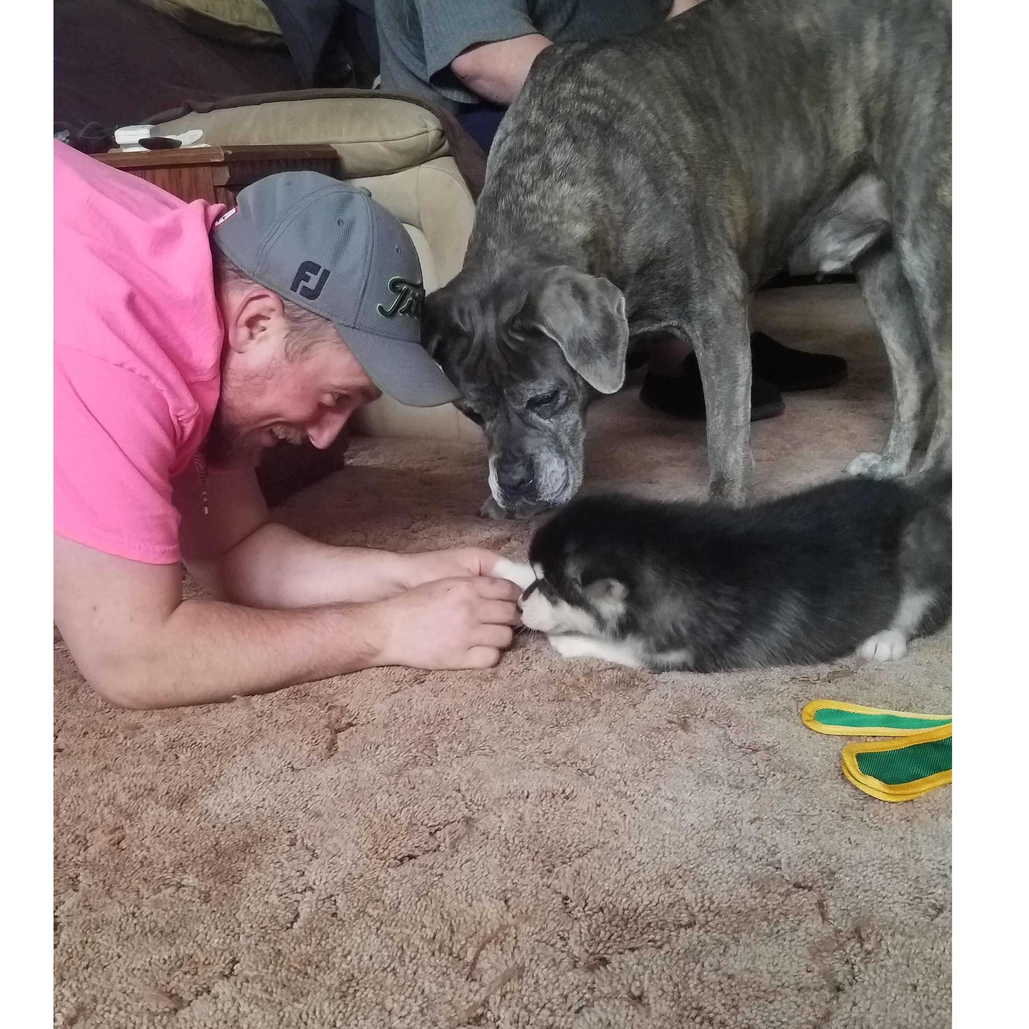 Floyders meet Zuzu!