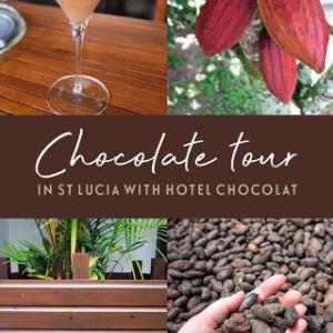Cacao Farm and Chocolate Making Tour in St. Lucia