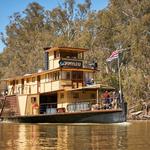 Paddle Steamer Cruises