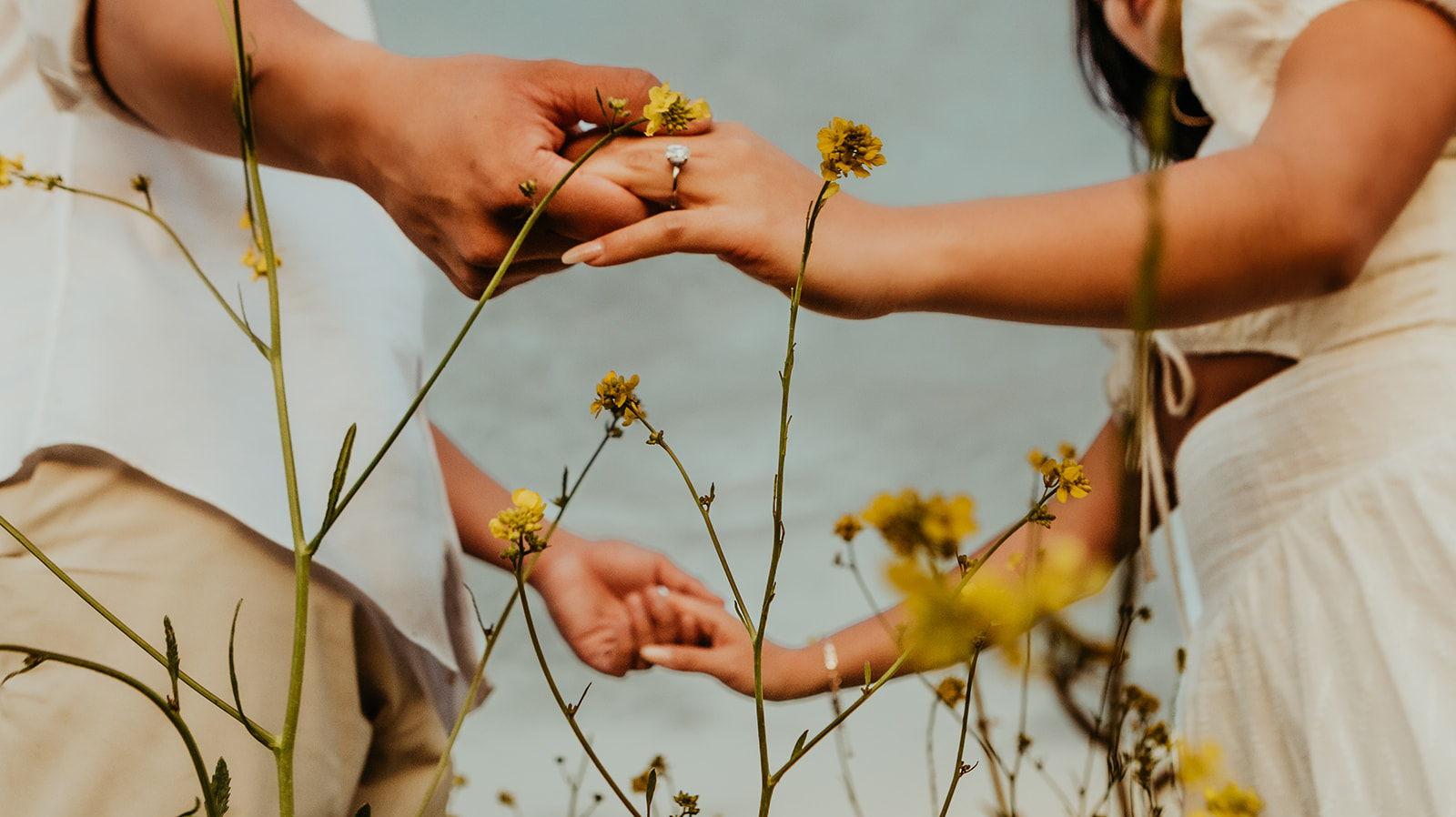 The Wedding Website of Andrew Solomona and Amanda Low