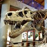 Montshire Museum of Science
