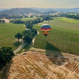 Napa Valley Aloft Hot Air Balloon Rides