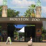 Houston Zoo