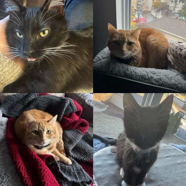 Minnie and Topaz Fund