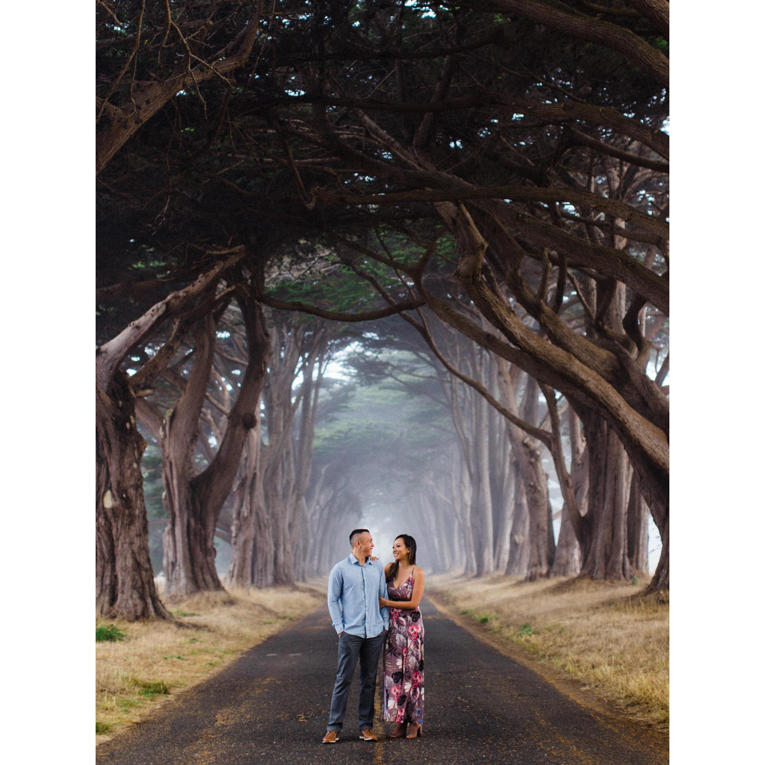 Engagement Session at Pt Reyes
Photography by Brandon J Ferlin
(www.brandonjferlin.com)