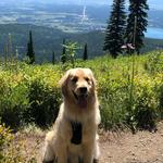 Whitefish Mountain Resort