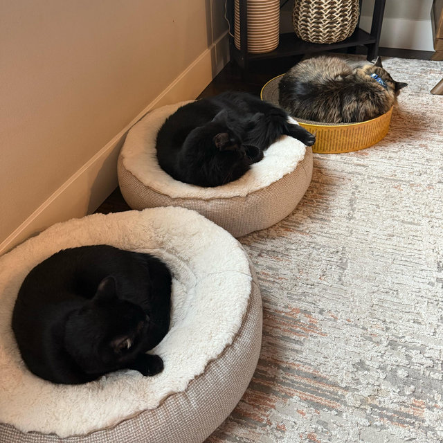 Cash Fund For A New Bed That Fits Everyone