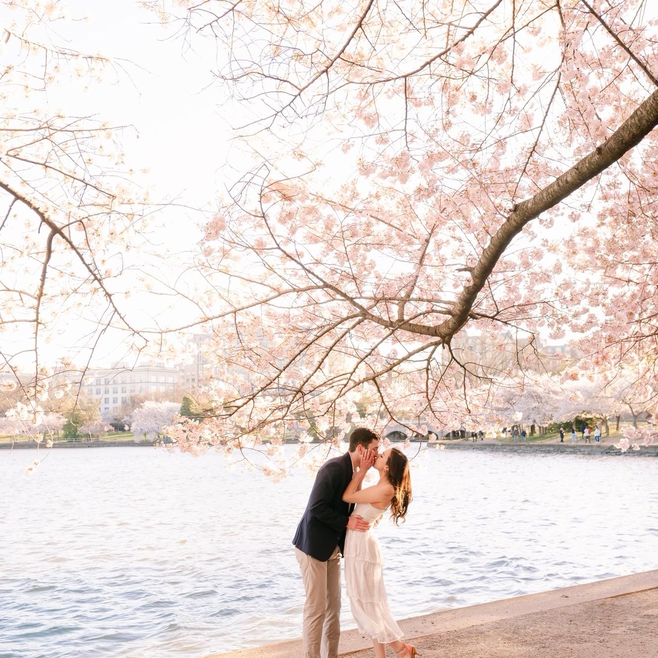 Engagement photos in Washington, DC. March  2024.