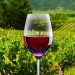Finger Lakes Wine Tours