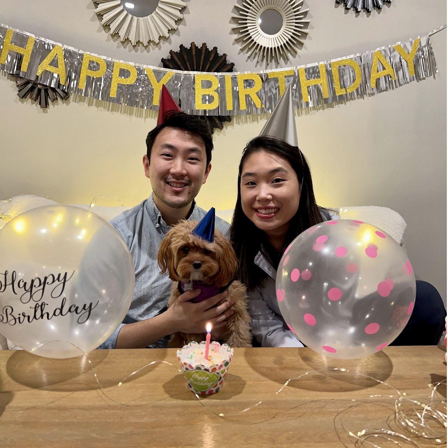 Our Cavapoo puppy (Chloe)'s 1st birthday! (2022)