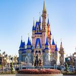 Walt Disney World® Resort