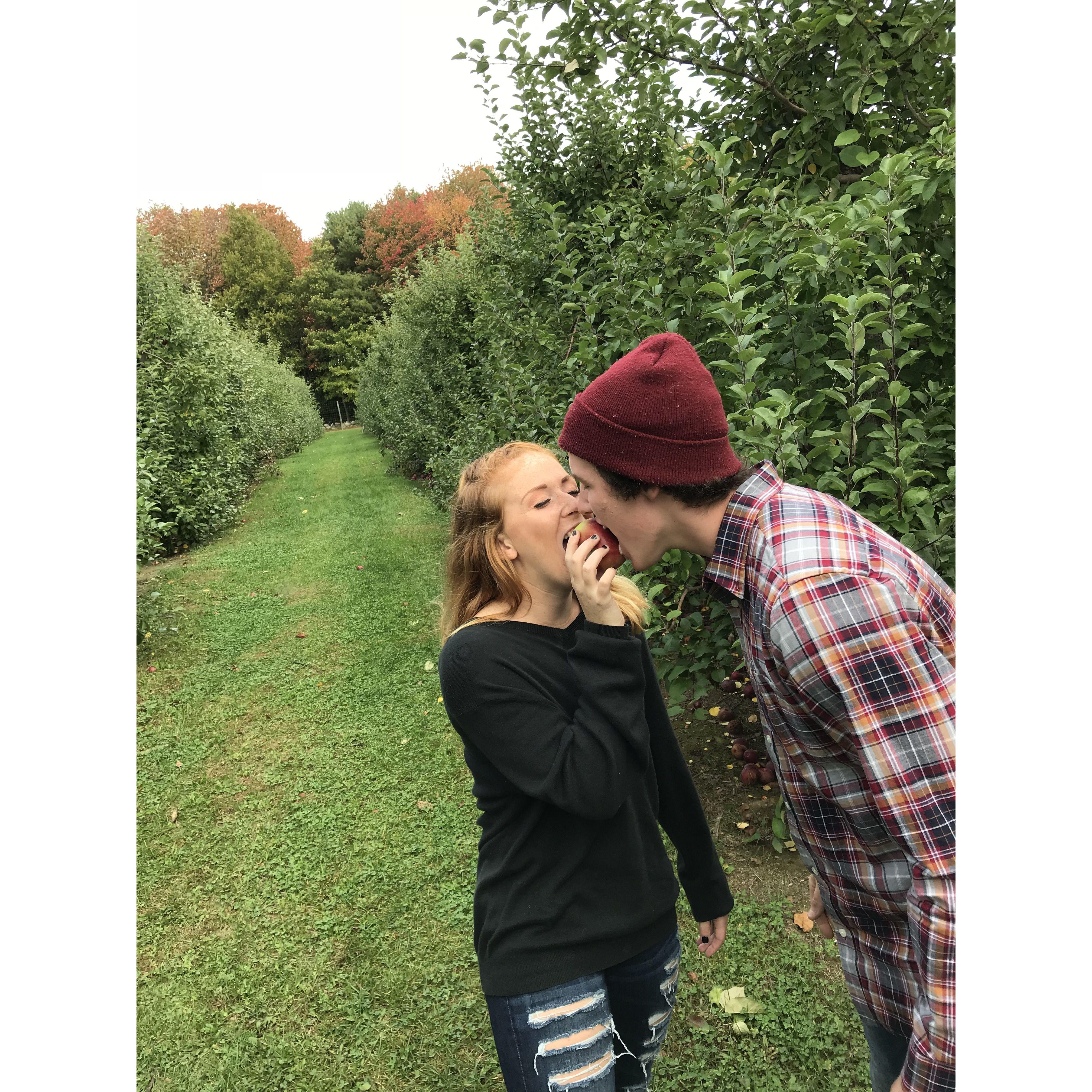 favorite fall activities!