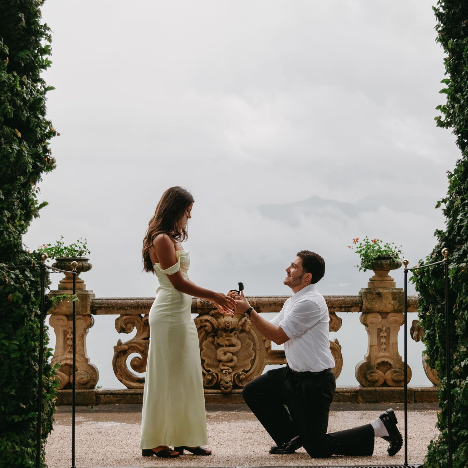 THE PROPOSAL