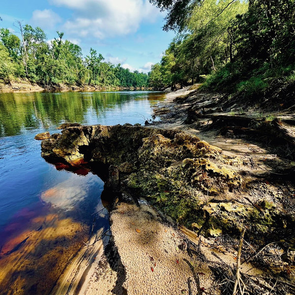 Donation to The Conservation Fund