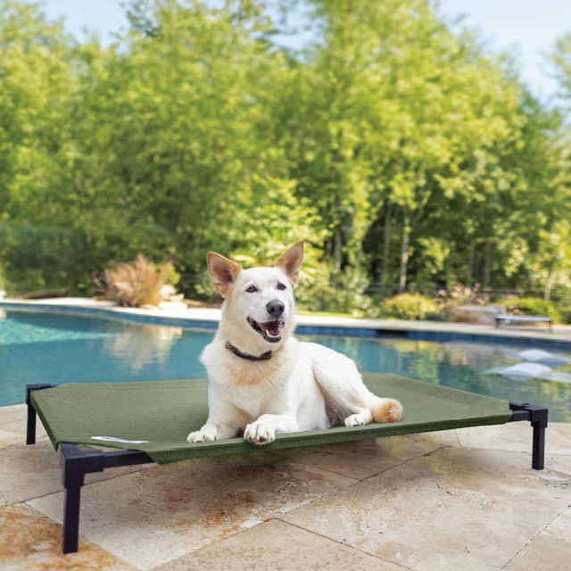 Coolaroo HeatShield Cooling Fabric Elevated Dog Bed