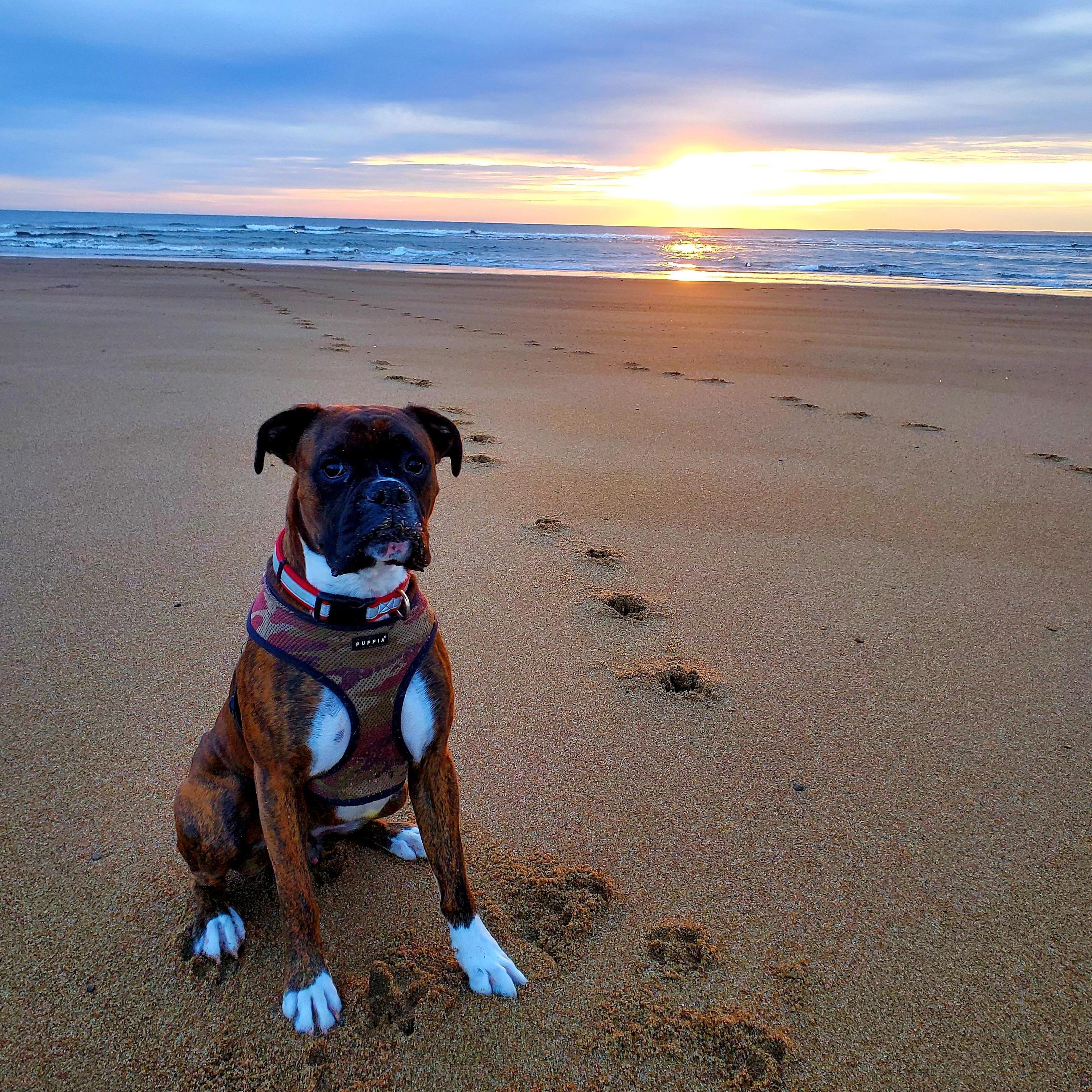 Augustus and "his" beach