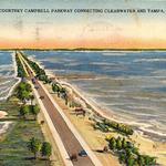Courtney Campbell Causeway