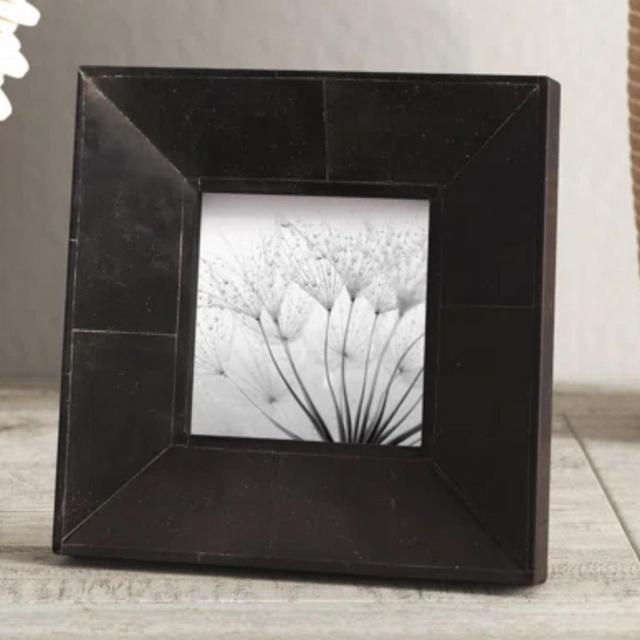 Daniel Horn Picture Frame | Joss & Main