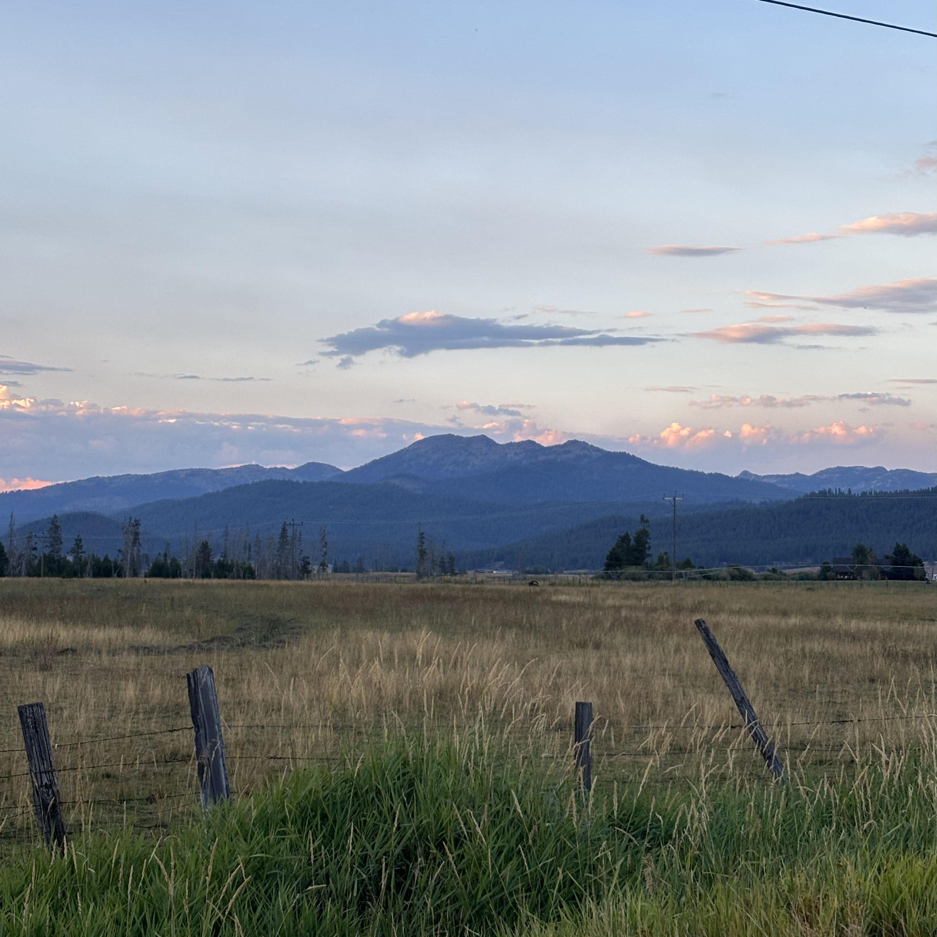 Our road. September 2025.