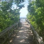 Cape Chuck's Natural Area Preserve