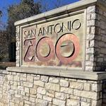 San Antonio Zoo