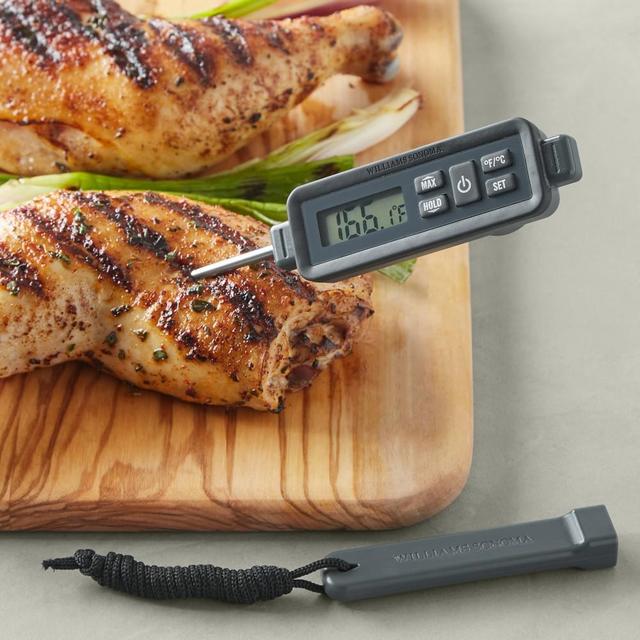 Williams Sonoma Outdoor Waterproof Pen Thermometer