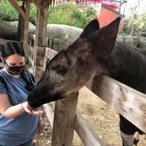 San Antonio Zoo