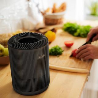 Essence Compact Air Purifier with True HEPA Filter