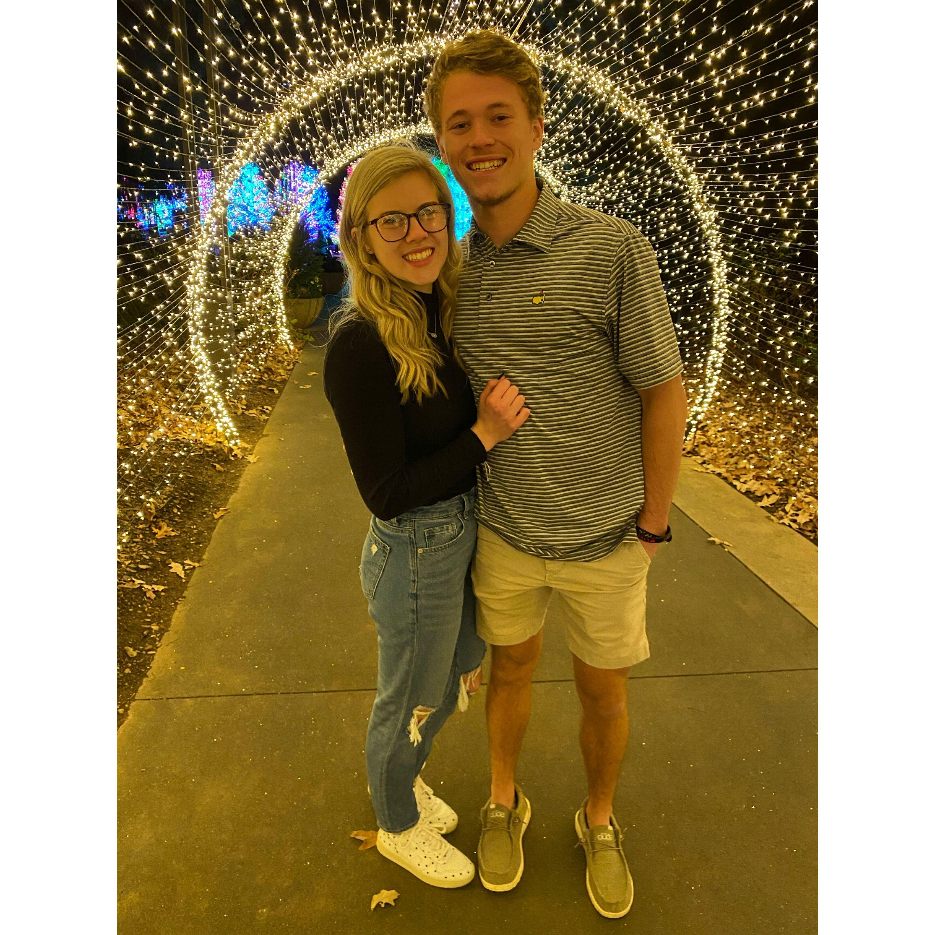 Christmas lights at the Atlanta Botanical Gardens