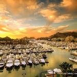 Visit the Marina