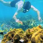 National Reef Park Of Puerto Morelos