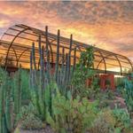 Visit Desert Botanical Garden