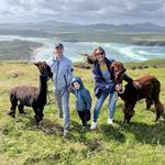 Wild Alpaca Way