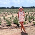 Aruba Aloe is the oldest Aloe company in the world.