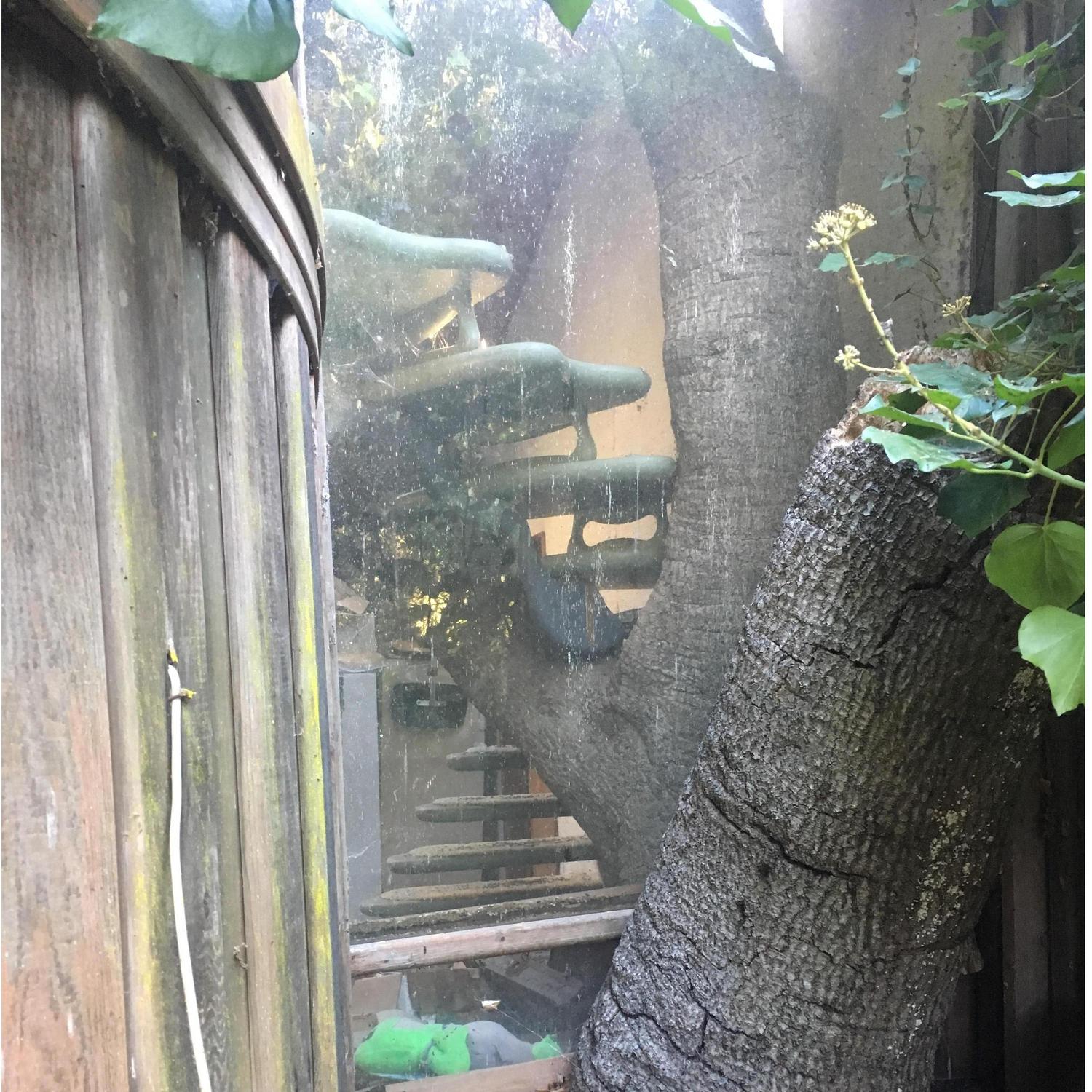 These places are unreal. Everything is handmade and there's a tree staircase to the second floor growing through the living room.