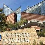 Tennessee Aquarium IMAX 3D Theater