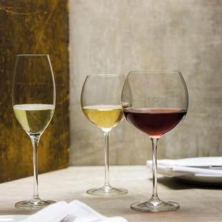 Note Red Wine Glass, Set of 6