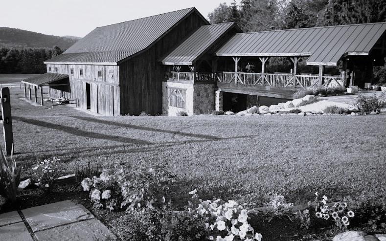 The Wedding Website of Caitlyn Bottiggi and Joshua Briere