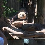 San Diego Zoo