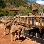 Cheyenne Mountain Zoo