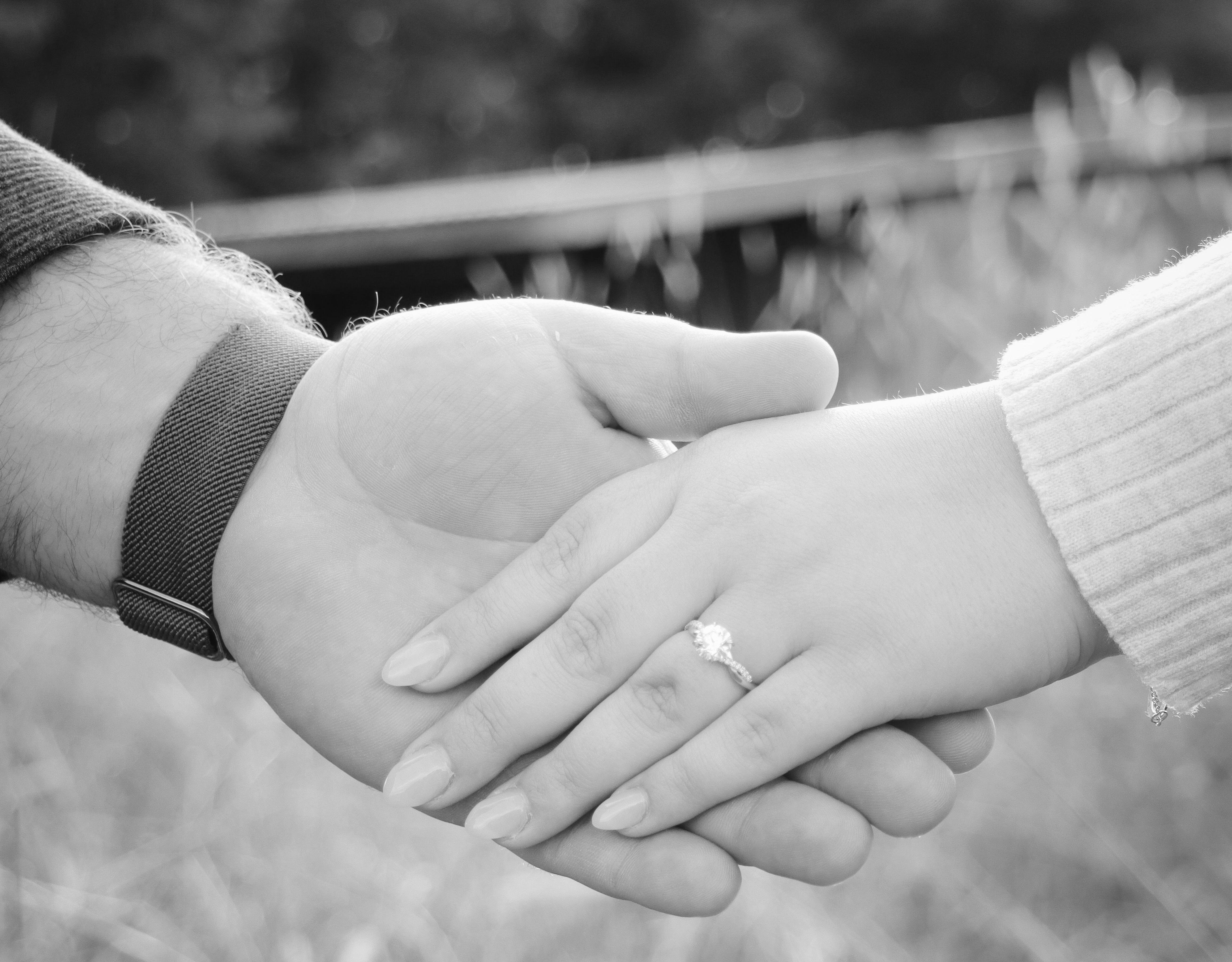 The Wedding Website of Abigale Lewis and Patrick Markey