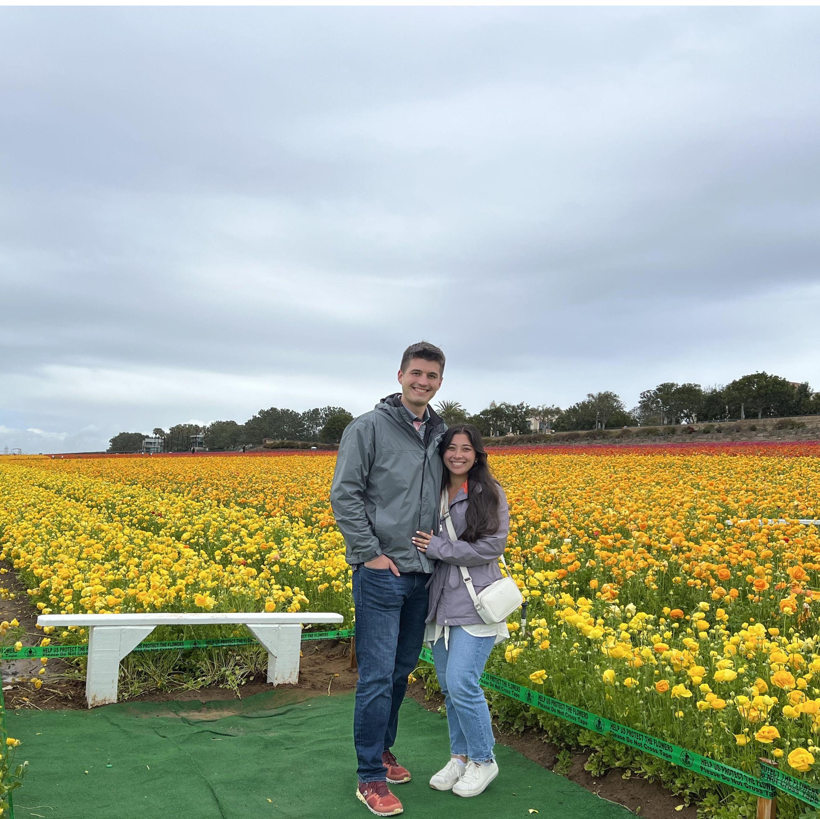 March 29, 2023 - The Flower Fields at Carlsbad Ranch