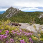 Mount Chocorua