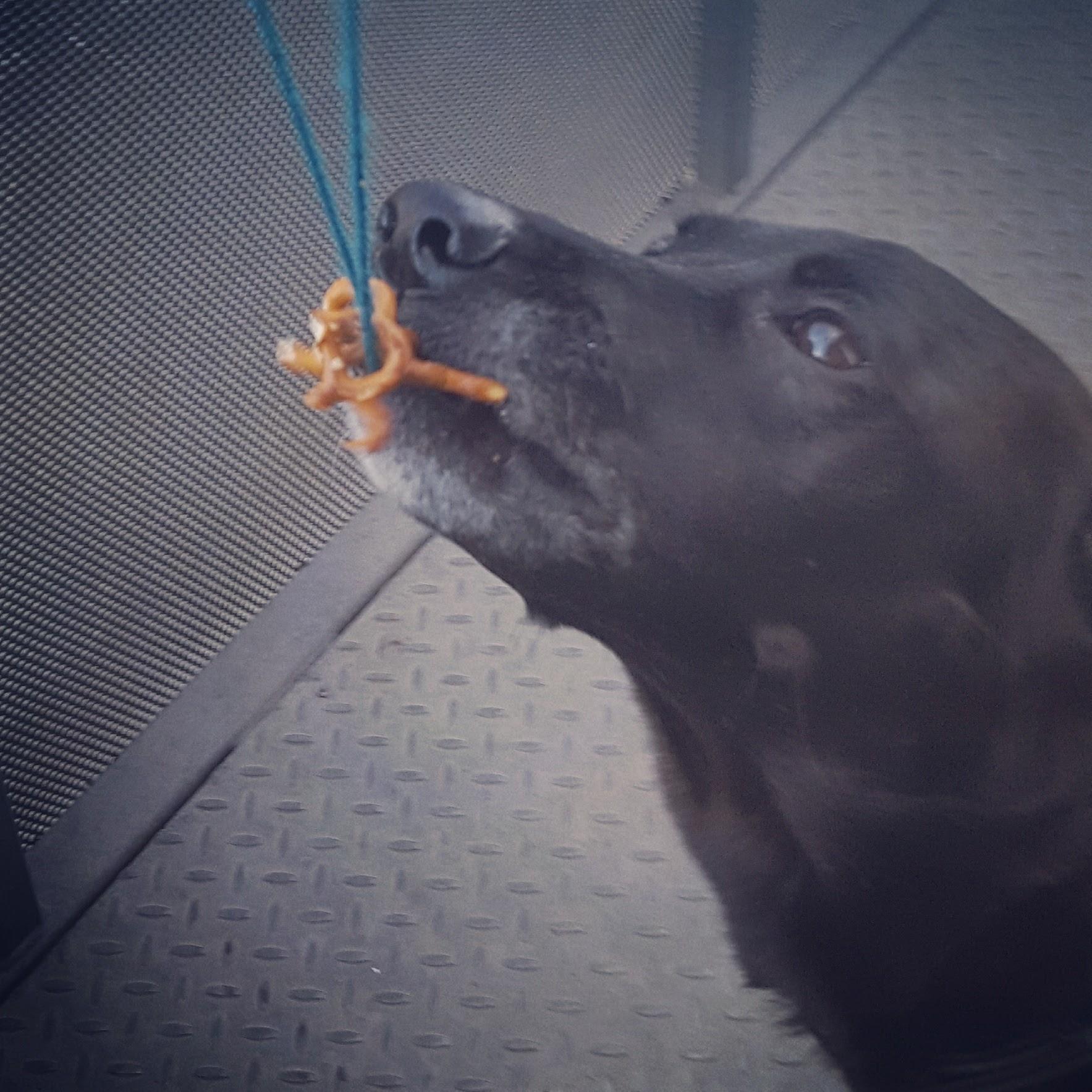 Mason loooves snacks.