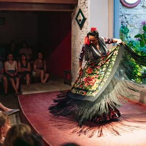 Flamenco Show